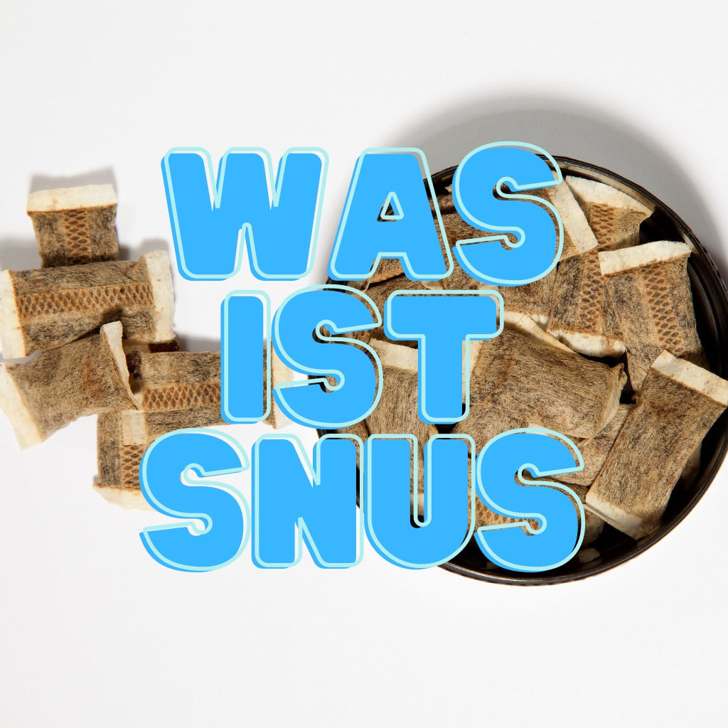 Eine offene Packung brauner Snus-Beutel auf einem weißen Hintergrund. Die Bildüberschrift ist blau und schreibt: Was ist Snus.