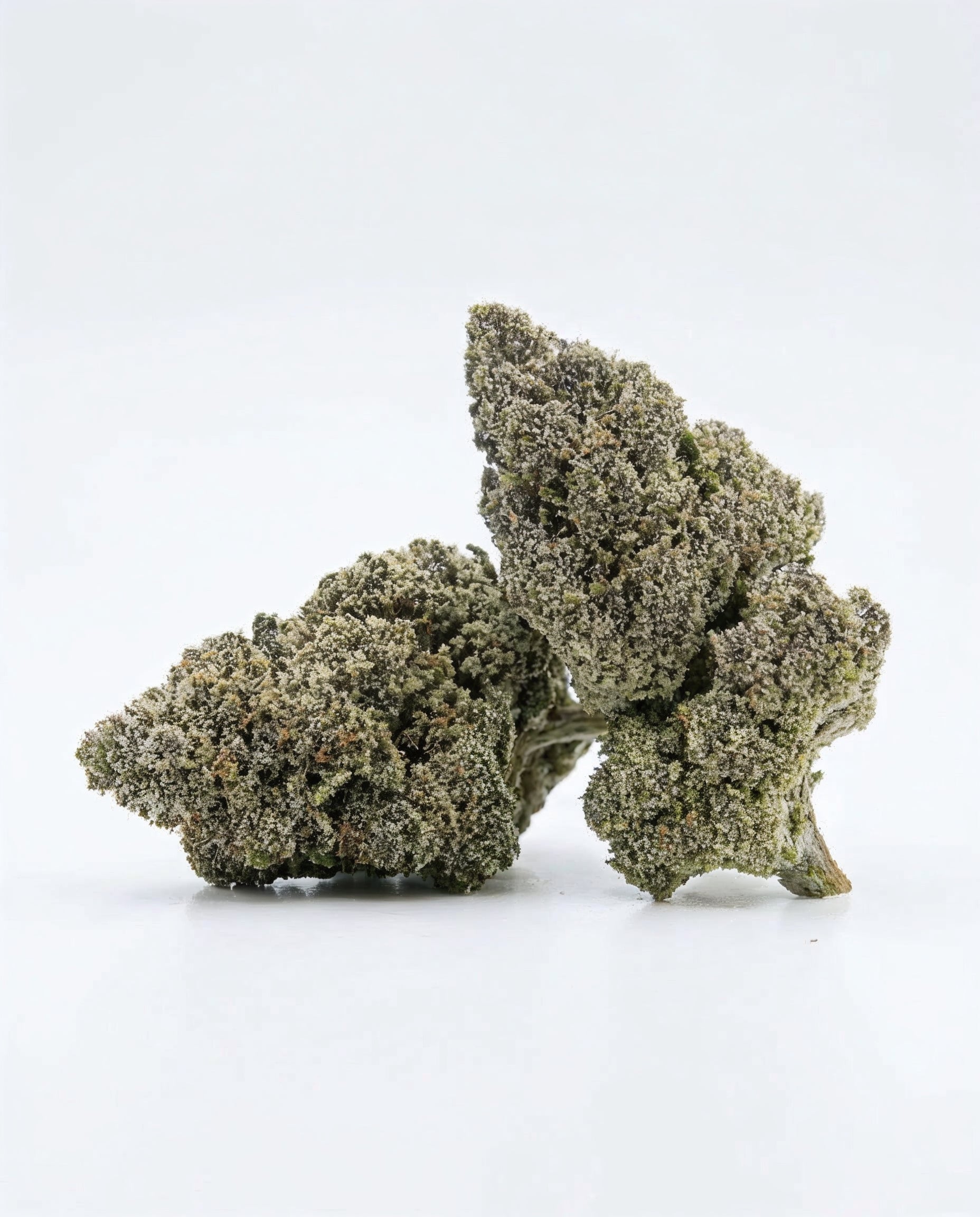 Blue Zushi - Superior Blüte 55%