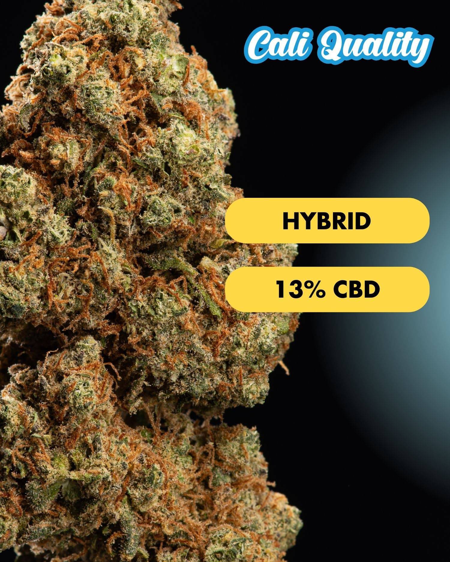 Blueberry Muffin - CBD Blüte 13% - OnlyGrams