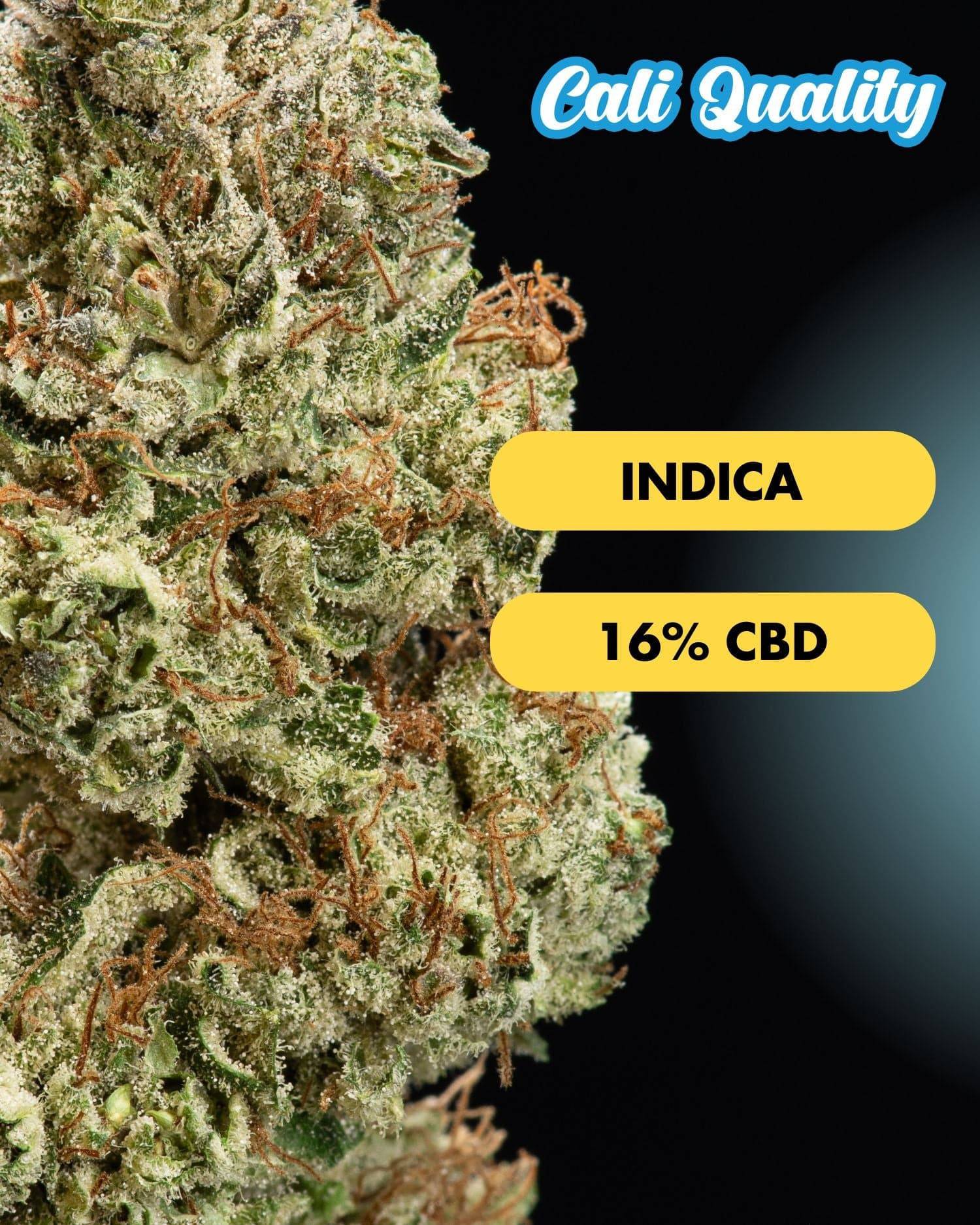 Orange Ice - CBD Blüte 16% - OnlyGrams