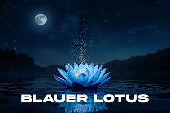 Blauer Lotus auf stillem Wasser bei Nacht mit Mondlicht und leuchtenden Blütenblättern