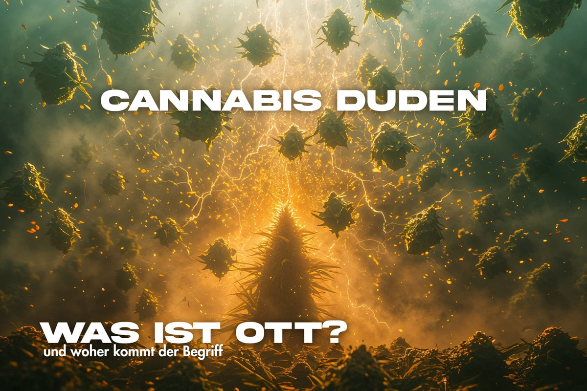 Epische Szene mit fallenden Cannabisblüten und goldenen Lichtblitzen – Symbolbild für den Begriff OTT Cannabis und seine Bedeutung im Cannabis Duden.