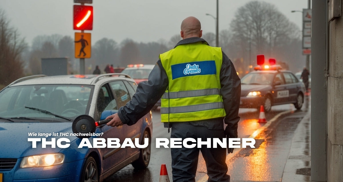 Polizeikontrolle bei nasser Witterung – Beamter prüft Autofahrer auf THC-Nachweis, Textaufschrift ‘THC Abbau Rechner – Wie lange ist THC nachweisbar?