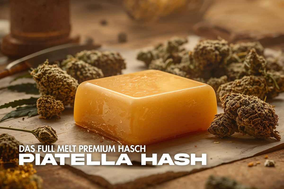 Nahaufnahme von goldenem Piatella Hash auf einem Holztisch, umgeben von Cannabisblüten – hochwertiges Full Melt Premium Haschisch.