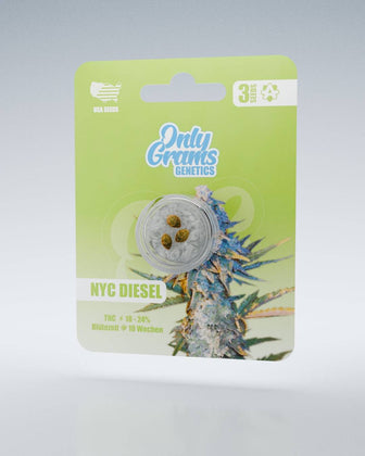 NYC Diesel THC-Seeds - OnlyGrams