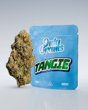 CBD Blüten Probierset | 13 Sorten - OnlyGrams