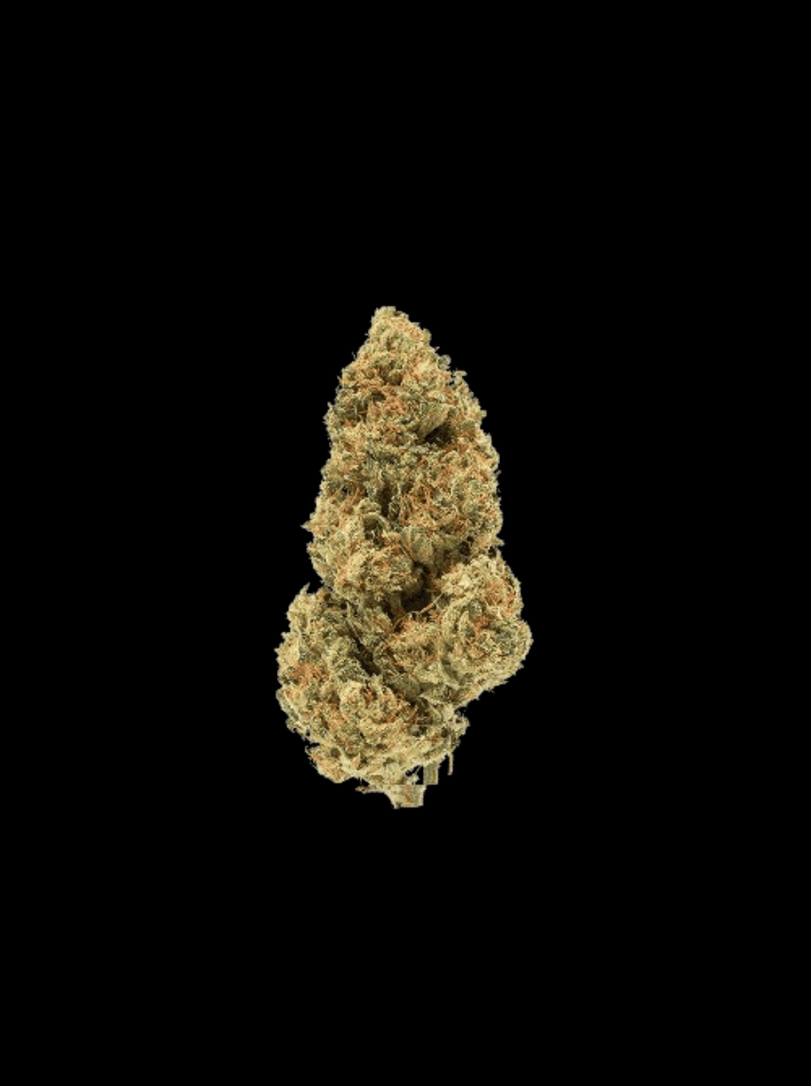 Blue Zushi - OnlyGrams
