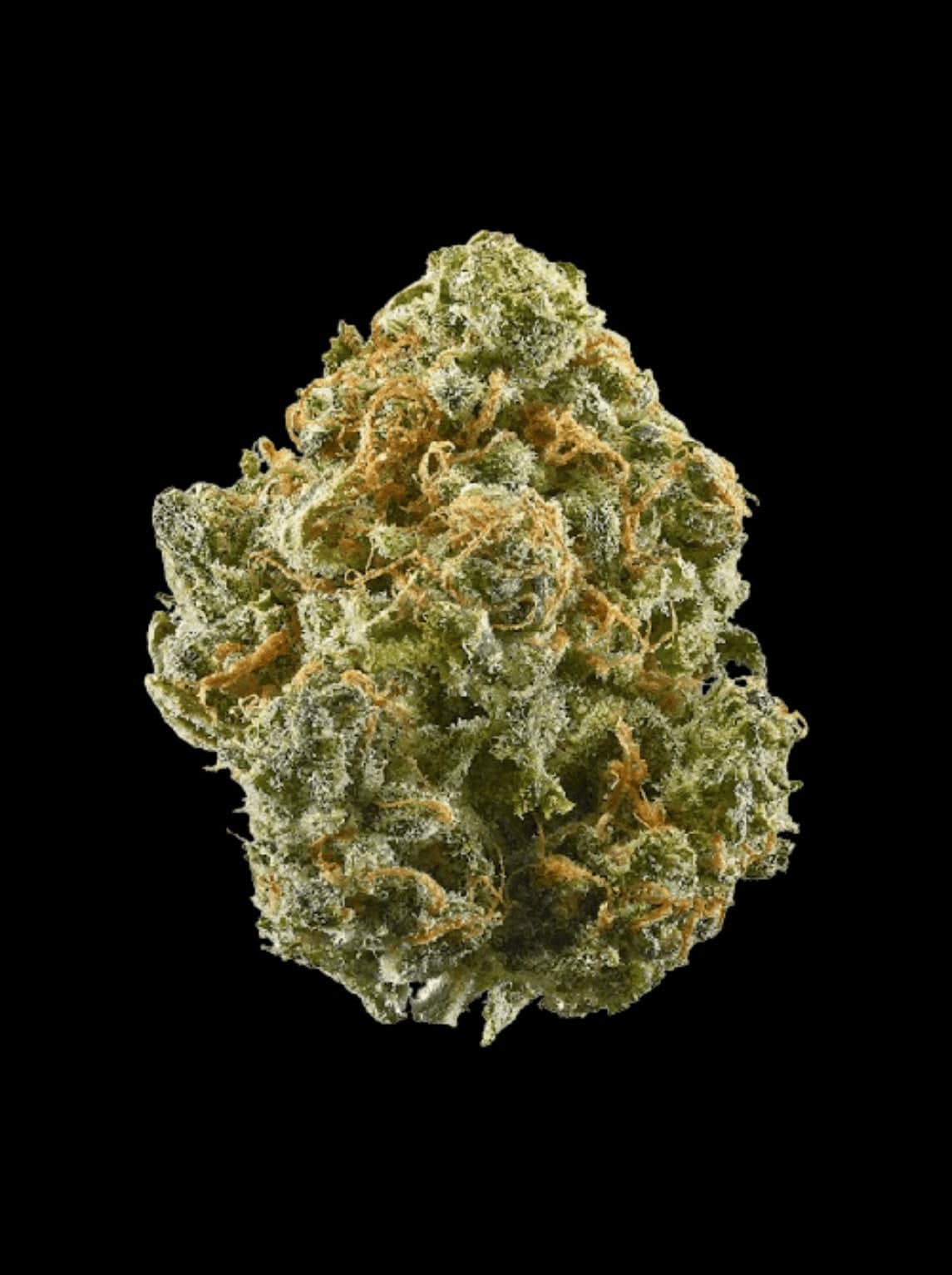 Critical+ 2.0 - OnlyGrams