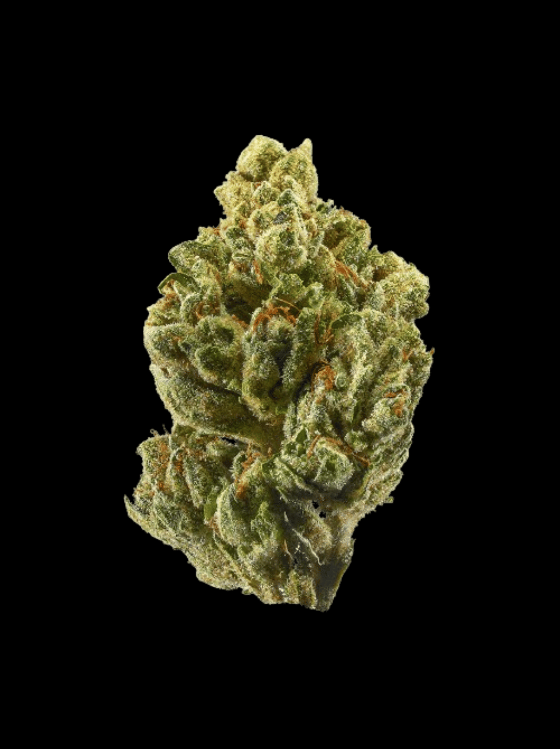 OG Kush - OnlyGrams