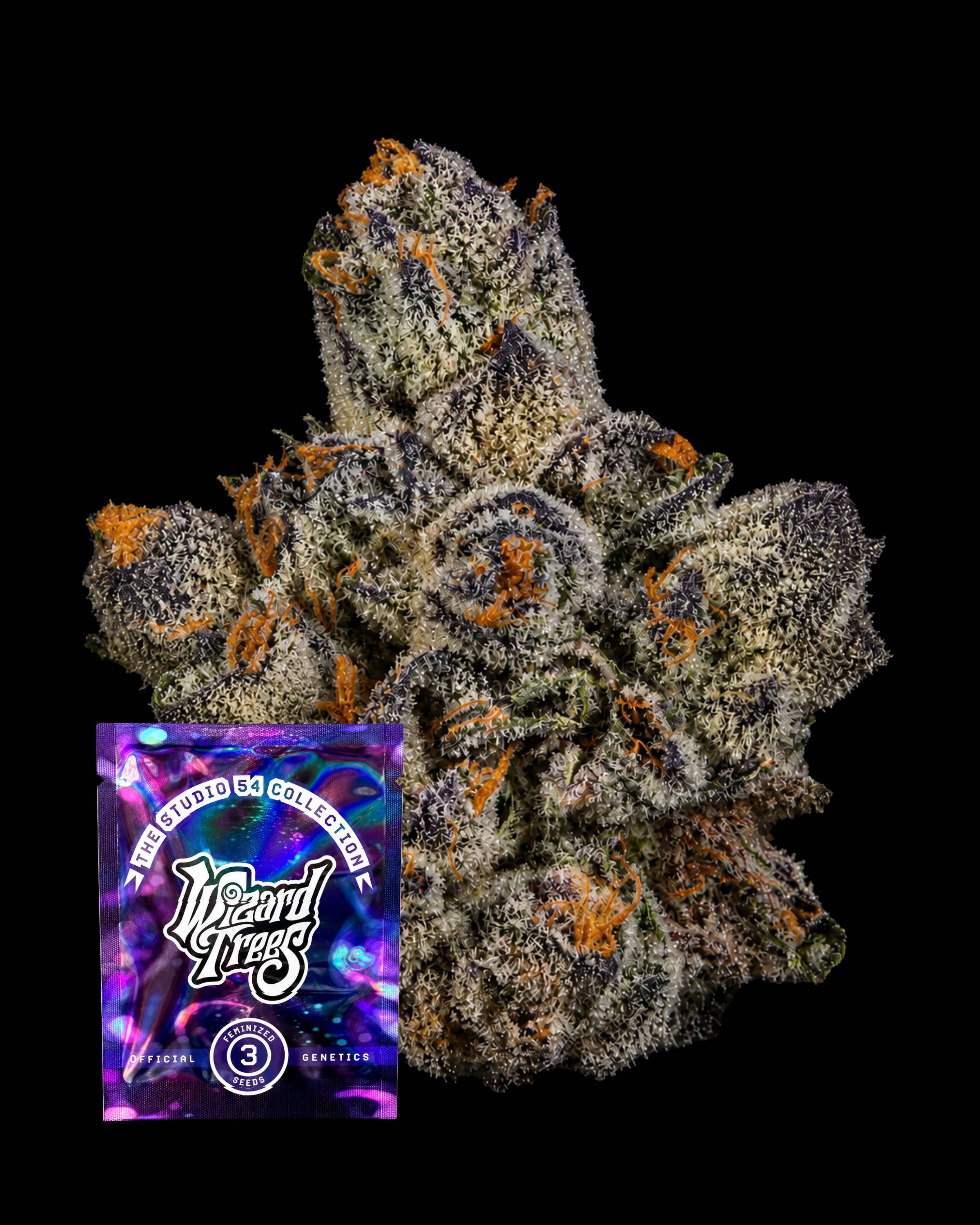 UVAZ – THC-Seeds | Wizard Trees